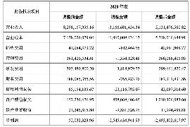 广安工资清欠服务